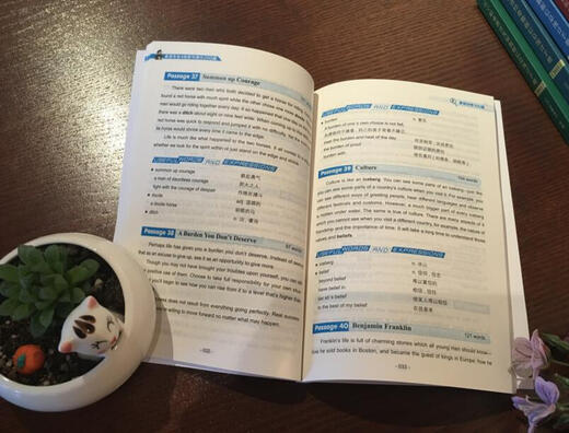 备考2018 冲击波英语·英语专业4级听写满分200篇