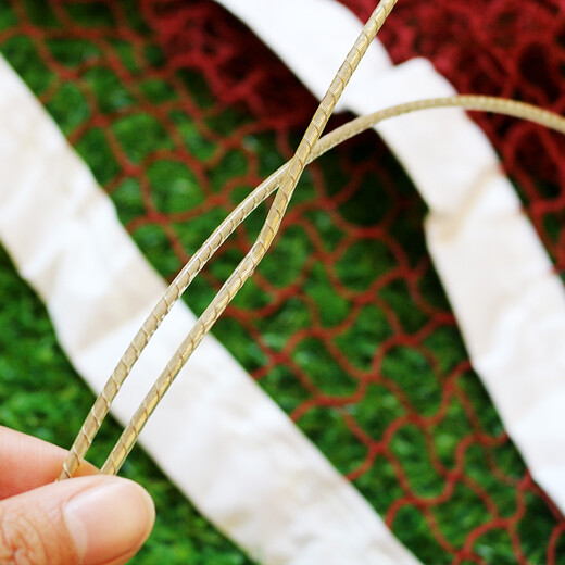 博森特（BOSENTE） 羽毛球网子 羽毛球网室内外便携式羽毛球网标准羽毛球网比赛级 升级款（四包边 钢丝绳）