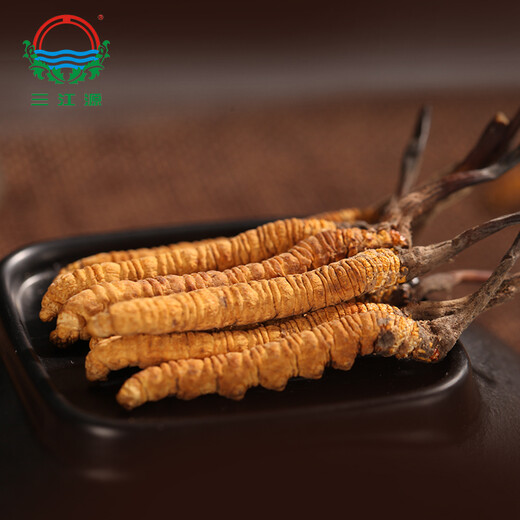 Sanjiangyuan Cordyceps Sinensis Yushu Wild Cordyceps 3 pièces / g 16g Boîte-cadeau de type Cordyceps