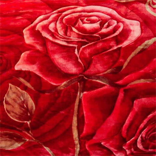 
Antarctic Rasher blanket thickened in winter warm single quilt nap blanket double wedding cover blanket available velvet blanket CC-653 Dahong 150*200cm about 5 Jin [Jin equals 0.5 kg]