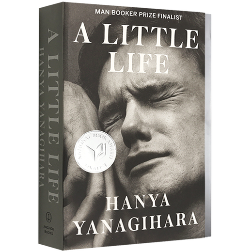 英文原版 小生活 A Little Life 渺小一生 进口文学小说