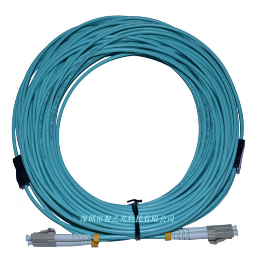 EB-LINK 电信级LC-LC铠装OM3万兆多模双芯10G光纤跳线OM4双工尾纤防鼠咬抗拉抗压 铠装万兆多模双芯OM4 35米