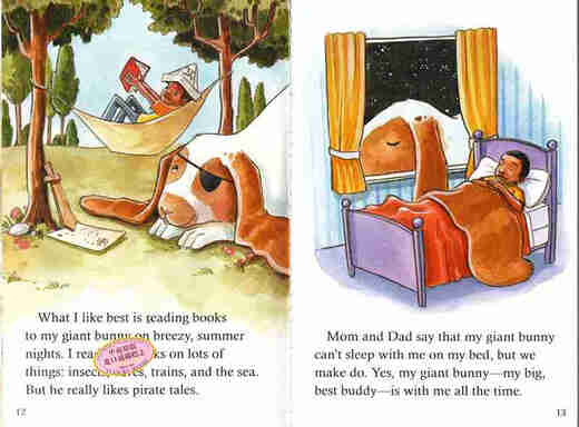 迷上自然拼读学与读第2级全集L7&8新版Hooked on Phonics Learn to Read 2nd Grade Complete Levels 7&8带DVD光盘