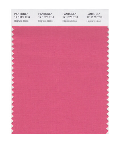 PANTONE/潘通/彩通 服裝家居 17-1740至17-2601TCX 棉布版单张色卡 17-1929X