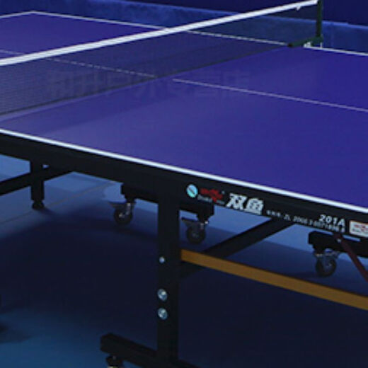 Pisces table tennis table table tennis hall indoor home training competition standard table tennis case foldable with rollers 201A