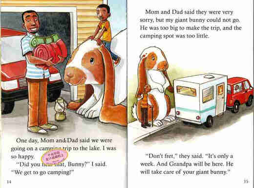 迷上自然拼读学与读第2级全集L7&8新版Hooked on Phonics Learn to Read 2nd Grade Complete Levels 7&8带DVD光盘