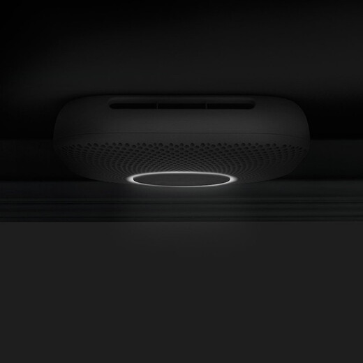 NEST smart smoke detector Protect, carbon monoxide voice alarm mobile phone reminder