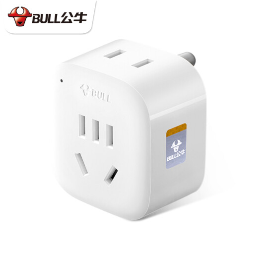 公牛（BULL） 印度标尼泊尔斯里兰卡旅行充电转换器插头转国内电器插座L01S 2插位印度标GN-L01S