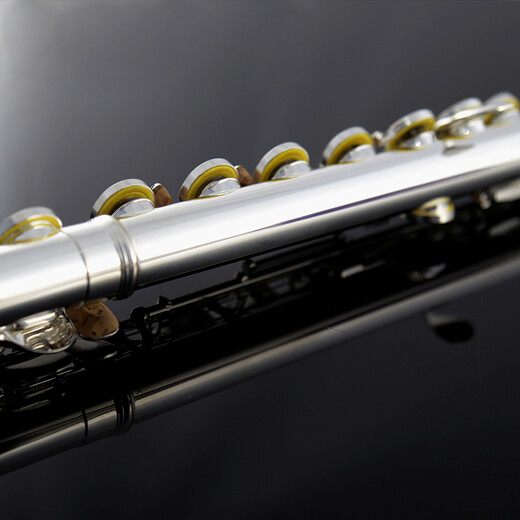 
ROFFEE flute instrument 17 open and closed hole dual-purpose silver-plated flute students beginners playing elbow flute instrument 17 hole C-tuning white copper open and closed hole dual-purpose 505 college level