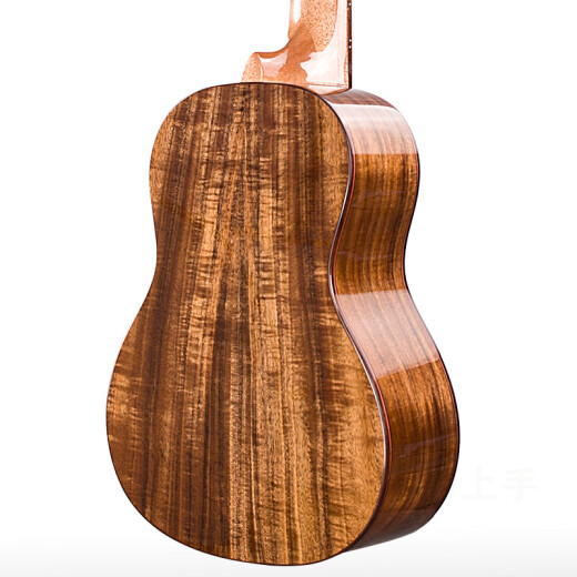 
Realsun ukulele Acacia Wood Full Vancouver AC/T200 Uklili Little Guitar Beginner Adult Singing 23-inch Electric Box Edition AC200 Full Single Piano Box
