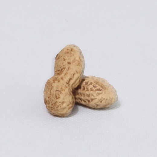 Tao Yunshang Yixing Zisha Tea Pet Simulated Peanut Melon Seeds Fun Tea Play Boutique Handmade Tea Table Tea Play Tea Ceremony Accessories 5 Zisha Peanuts