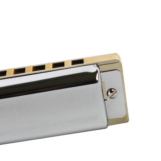 Oriental Ding Professional Advanced Performance 10 Hole Blues Harmonica Beginner for Adult Children T008S 10 Hole Bright Silver C-Tune - Spot (common modular)