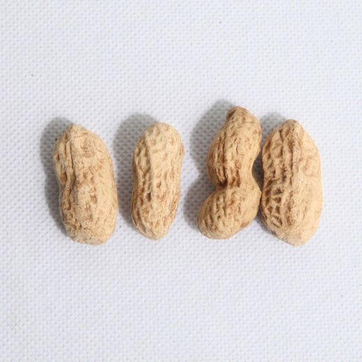 Tao Yunshang Yixing Zisha Tea Pet Simulated Peanut Melon Seeds Fun Tea Play Boutique Handmade Tea Table Tea Play Tea Ceremony Accessories 5 Zisha Peanuts