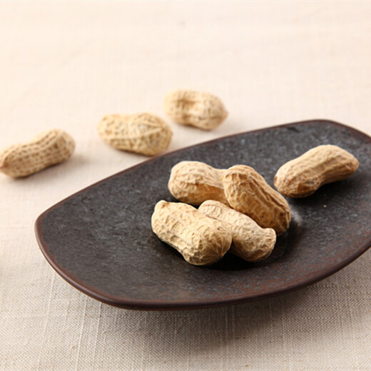 Tao Yunshang Yixing Zisha Tea Pet Simulated Peanut Melon Seeds Fun Tea Play Boutique Handmade Tea Table Tea Play Tea Ceremony Accessories 5 Zisha Peanuts