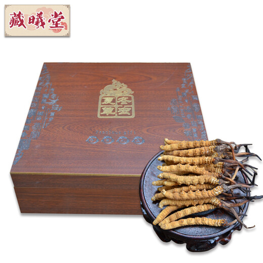 Zangxitang Naqu, Tibet Cordyceps sinensis 3 1 Gramm Cordycep