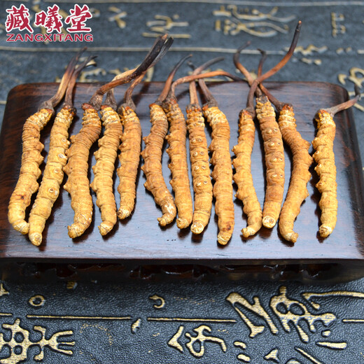 藏曦堂 西藏那曲虫草 高海拔 冬虫夏草 冬虫夏草 2根1克 内装50克