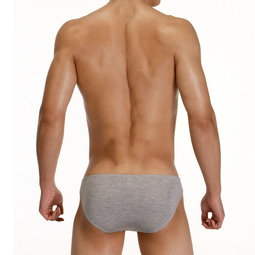 Tiku Ladder Men's Underwear Bamboo Fibre Sexy Briefs Slim Shorts minces masculins 2 Box Blue + Gray XL (175/100)