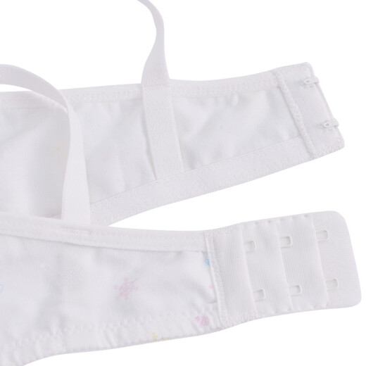 Ailee girl's bra middle school students' development period 14-16 years old junior high school students high school students 17/18 no steel ring cotton comfortable thin style puberty 15 student underwear AY1004 2 pieces 75B