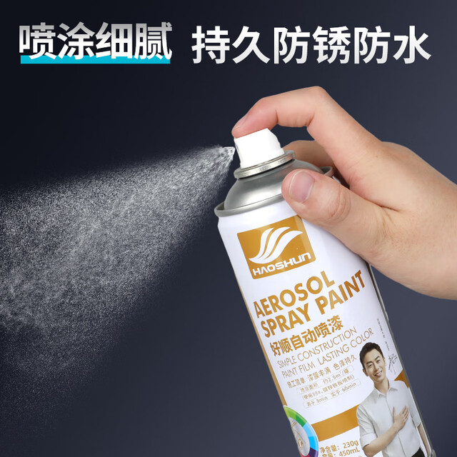 Haoshun self-spraying 4# matte black/doors and windows metal anti-rust furniture wood paint self-motorcycle refurbishment graffiti