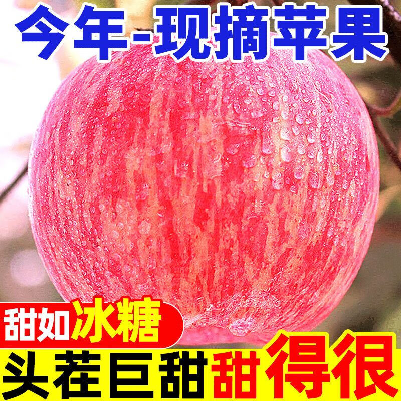 Erdie Shaanxi Red Fuji Apple Fresh Fruit 10 Jin Rock Candy Heart Seasonal Ugly Apple Seasonal Fruit Crisp Sweet Whole Box Selected 9 Jin Pack Net Weight 8.5 Jin 70-75mm