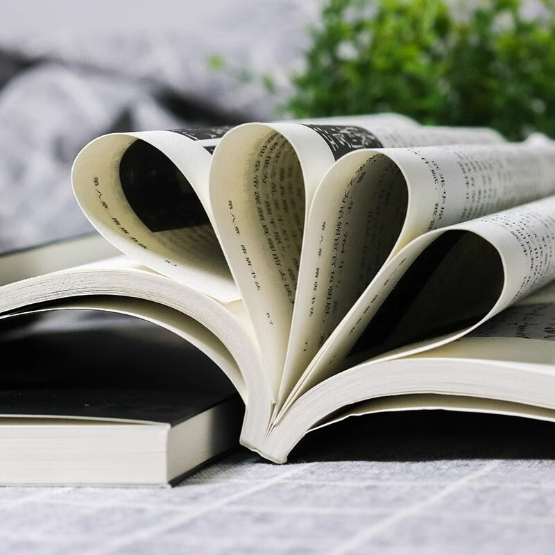 A complete 3-volume encyclopedia of Chinese calligraphy from entry to mastery. Yan Zhenqing, Zhao Mengfu, regular script, running script, cursive script, seal script, official script, brush calligraphy, and basic books on Chinese calligraphy techniques.