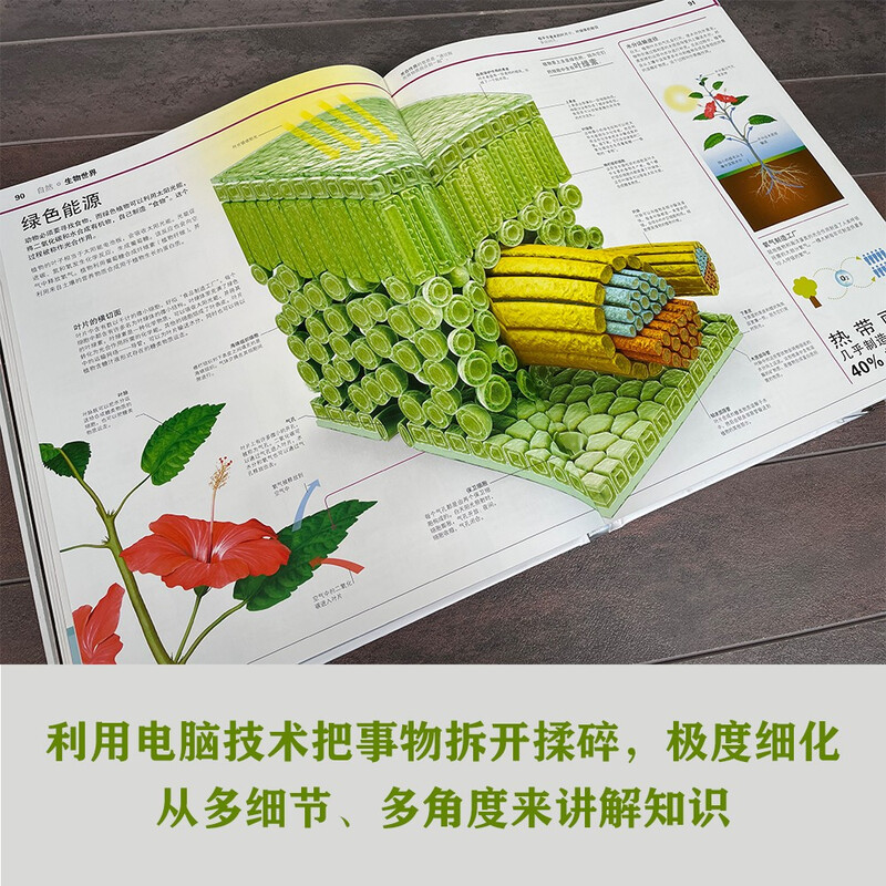 DK Knowledge Encyclopedia Hardcover Collector's Edition Children's General Encyclopedia Extracurricular reading for 6-14 years old Covering astronomy, geography, and animal science One-stop knowledge treasure house