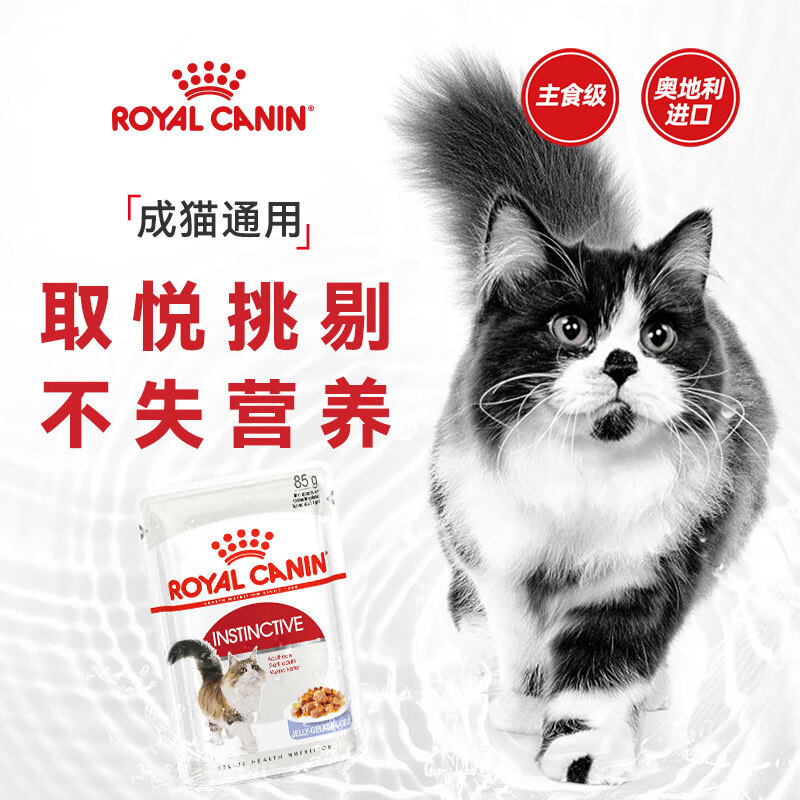 Royal Cat Food Adult Cat Wet Food Soft Pack Canned Cat IJP General Food Jelly Aspic 85G*12 Imported