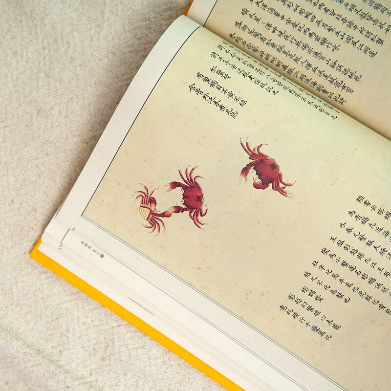 Complete 4 volumes of 