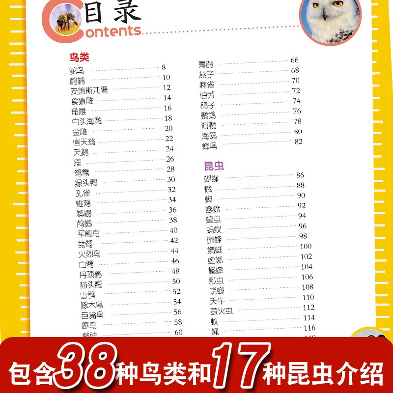 Encyclopedia of Birds and Insects Colored Pictures and Phonetic Version of Popular Science Books Little Eyes See the World Children's Encyclopedia of Scientific Enlightenment and Cognition