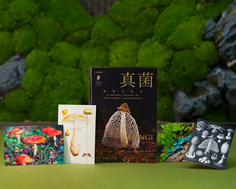 Princeton University Biological Illustrated Fungi (China National Geographic Books, the master of the hidden world, identification of strange organisms. Get close to the hidden fungal family, and perceive the interconnected relationship between life on earth. Free 4 fungi science postcards)