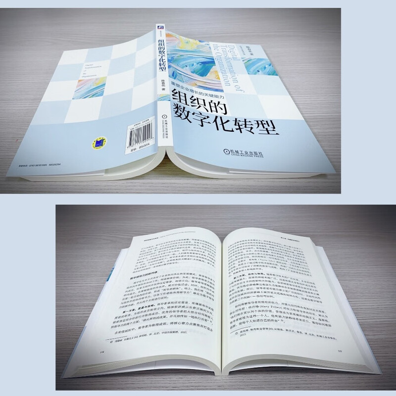 Digital Transformation of Organizations