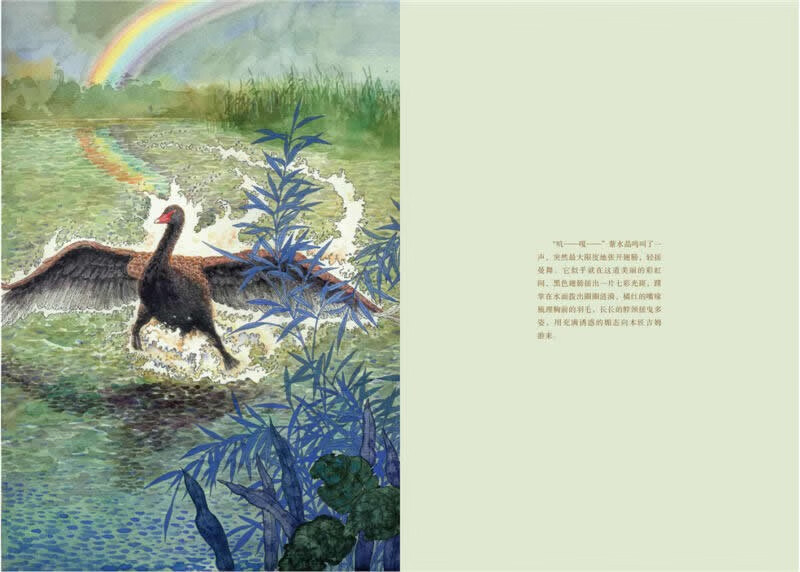 Black Swan Amethyst Upgraded Edition Animal Novels King Shen Shixi's Collection of Books Children's Literature Storybooks Extracurricular Readings