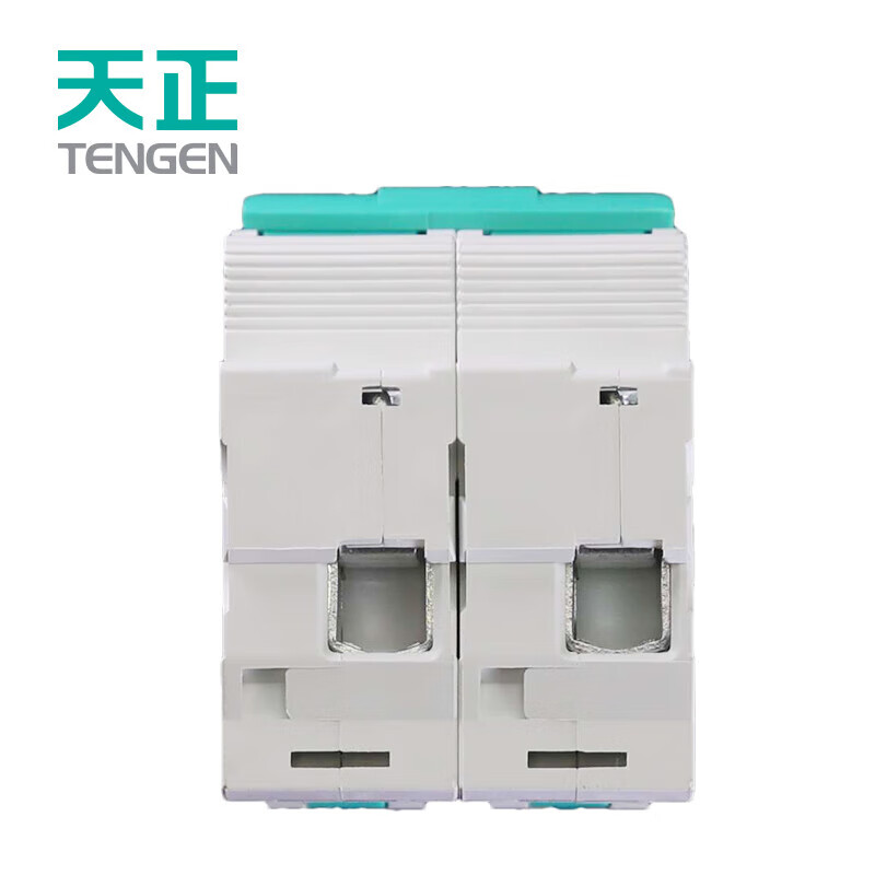 Tianzheng Electric air switch small circuit breaker overload protection TGB1N series 63A frame 2P C63