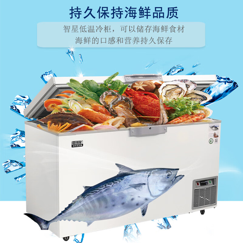 Zhixing ZX ultra-low temperature freezer minus 40 horizontal household deep-freezing quick-frozen dry ice preservation tuna seafood commercial industrial scientific research biological laboratory large-capacity sea fishing refrigerator DW-510 (-45) ordinary model