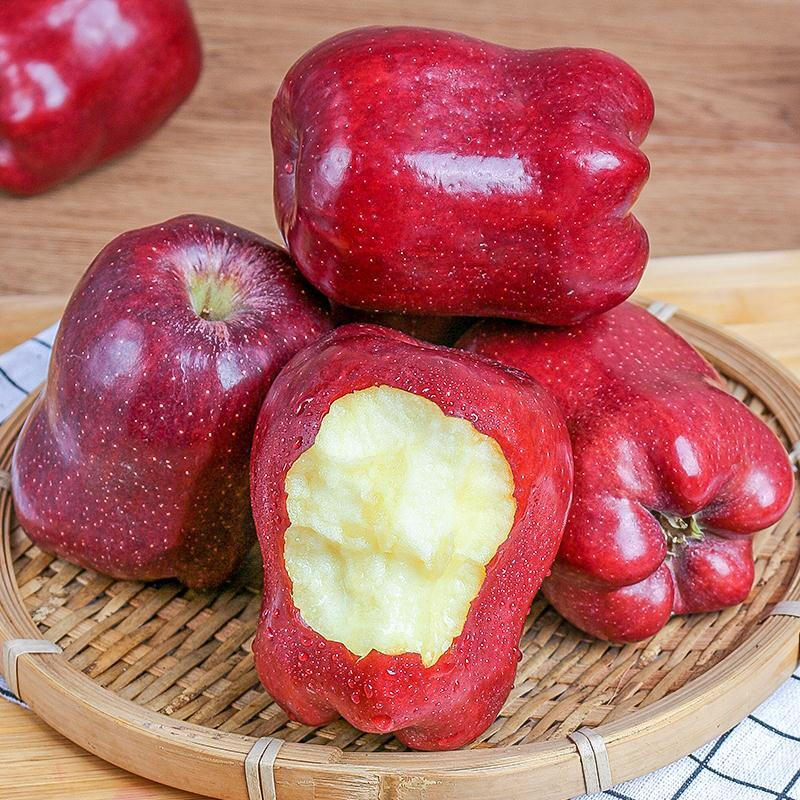 Mu Xiaoqi Fruits and Vegetables Gansu Tianshui Huaniu Noodles Apples Next Day Delivery to Multiple Places Snake Fruit Gift Box New Year’s Gift Box SS+ Grade Rare Fruit King (Single Fruit Approximately 80mm+) 10 Jin Pack Family Party-Best Deal Net 8 Jin