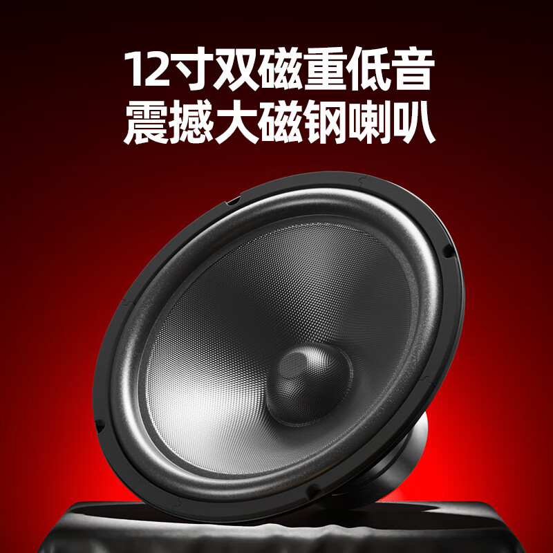 Aigo conference audio set, dedicated speakers for small and medium-sized conference rooms, stage gym classroom wall-mounted card package speakers, 2 10-inch professional speakers + upgraded amplifier