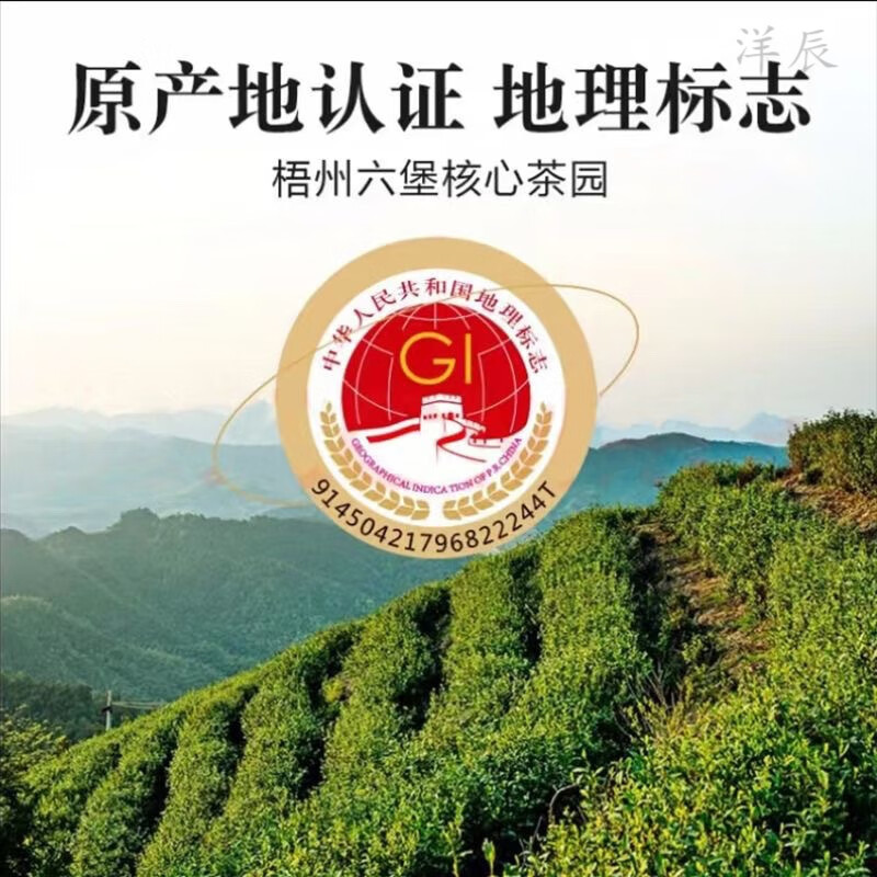 Wanglanchuan Wuzhou Guangxi Premium Liubao Tea Ten Years Old Dehumidified Black Tea Ripe Tea Boxed Gift Tea Wuzhou Specialty Eight Years Old Authentic Liubao Tea One-pound Basket