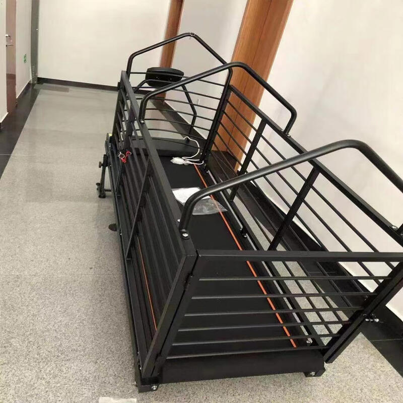 Dog Treadmill Dog Pet Treadmill Electric Treadmill Gree Dog Treadmill Police Loyalty Deluxe Edition Comes with Remote Control