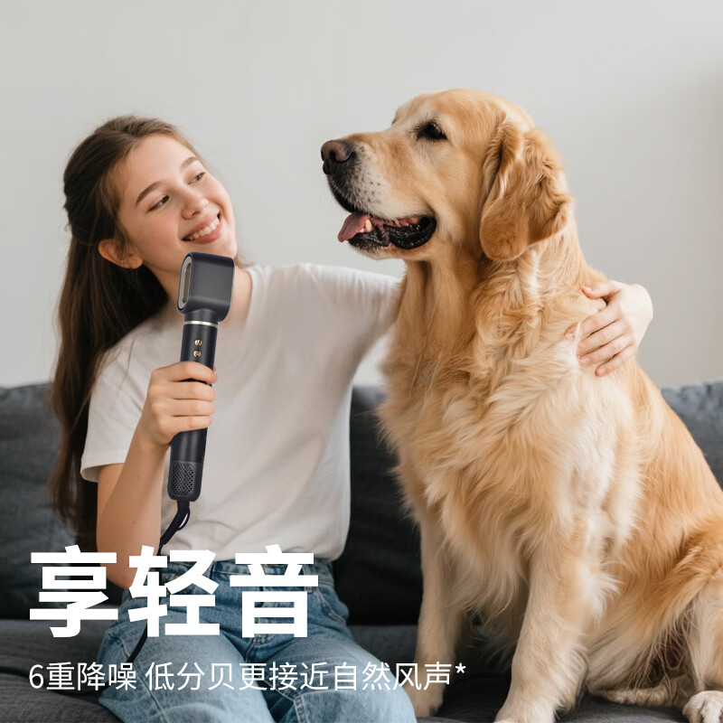 MARTISAN golden high-speed silent hair dryer household high-power high-wind does not damage hair quick-drying negative ions with curling iron