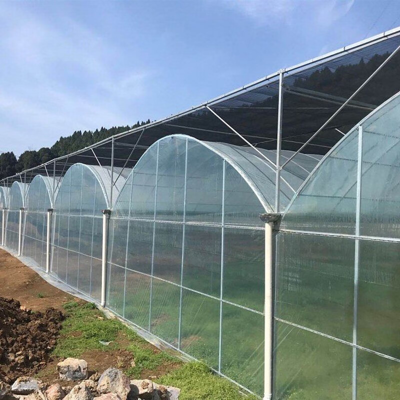 Nongyumeng greenhouse film agricultural white plastic sheet thickened thermal insulation waterproof anti-aging transparent non-drip film 10 meters wide (10S) 1 meter long