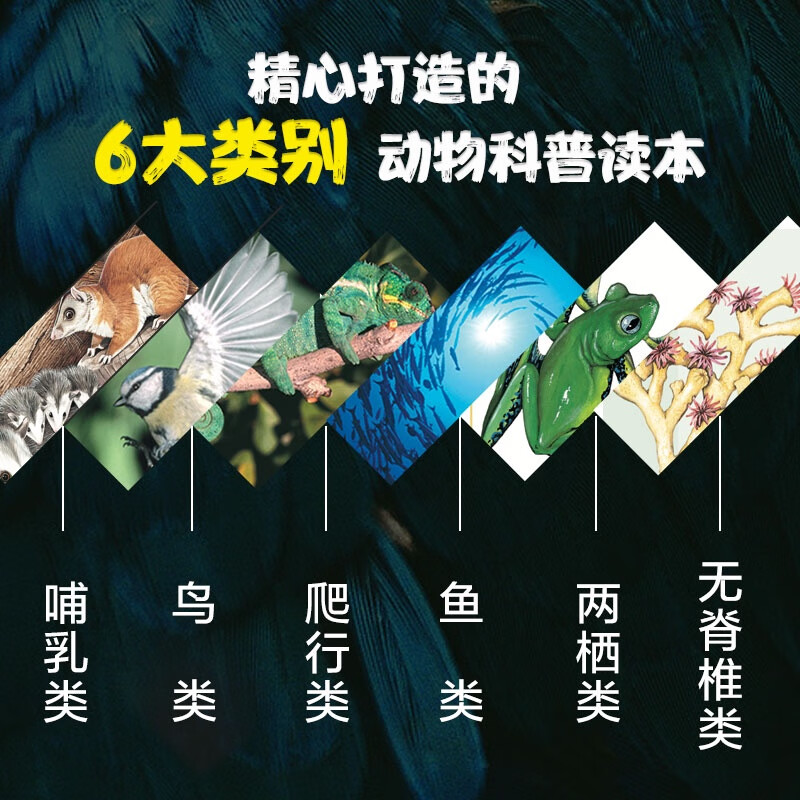 American Weldon Owen Children's Encyclopedia of World Animals (7-14 years old) popular science for children. More than 5,000 hand-drawn drawings of mammals, amphibians, reptiles, invertebrates, birds, and fish by zoologists from various countries.