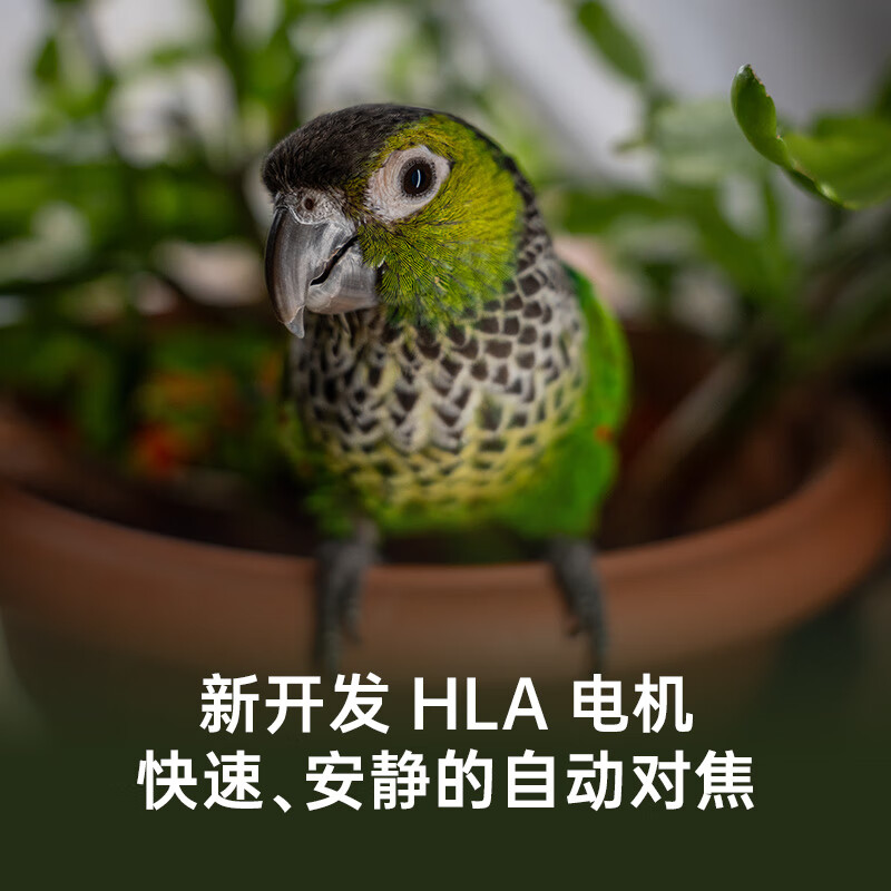 SIGMA Art 24-70mm F2.8 DG DN second generation full-frame mirrorless camera constant large aperture 2470 portrait scenery travel live broadcast (Sony E-mount)