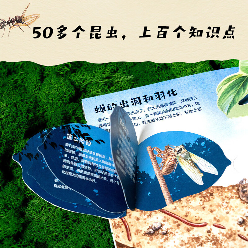 Diary of Insects pop-up book, natural science enlightenment, parent-child reading (10 large spread pages, 38 three-dimensional interactions, 50 insects, hundreds of knowledge points, shocking presentation of Fabre's 