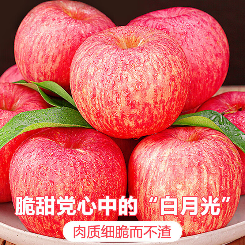 Jingdi Dalochuan Apple Fruit Shaanxi Red Fuji Festival Gift Net Weight 8.5 Jin Single Fruit 85mm + Direct Shipping from the Source