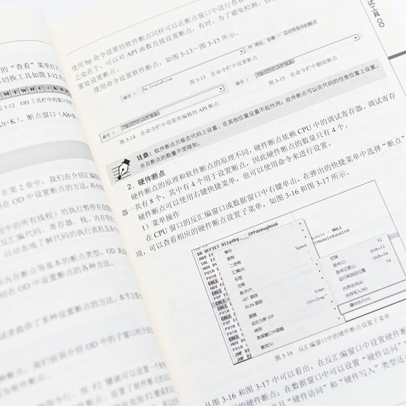 Reverse Analysis in Practice (2nd Edition) (produced by Asynchronous Books)