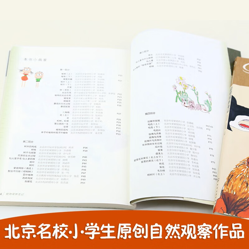 My Nature Observation Notes Plant Observation Notes (original for primary school students from prestigious schools across the country, 7-10 years old, 7 observation methods + 6 painting methods)