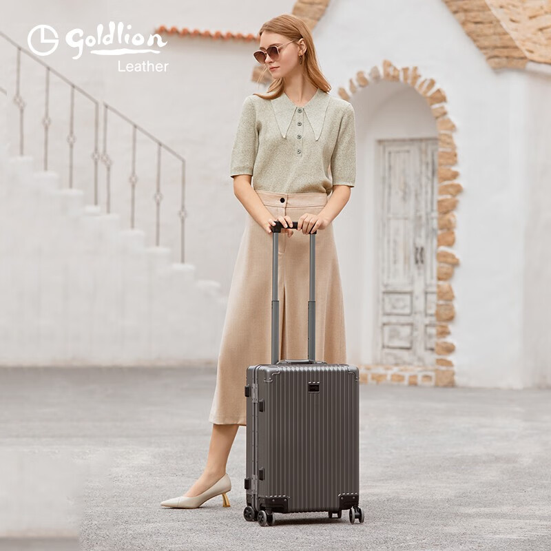 Goldlion Luggage Large Capacity Checked Code Box Lightweight Travel Trolley Case for Men and Women New Year Gift for Men Silver Gray TSA Code Lock 20 Inch (Carry-on Case Suitable for 3-5 Days Short Distance)