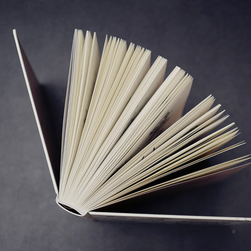 Children's Illustration Sketch Copy Album (produced by Shuyi Design)