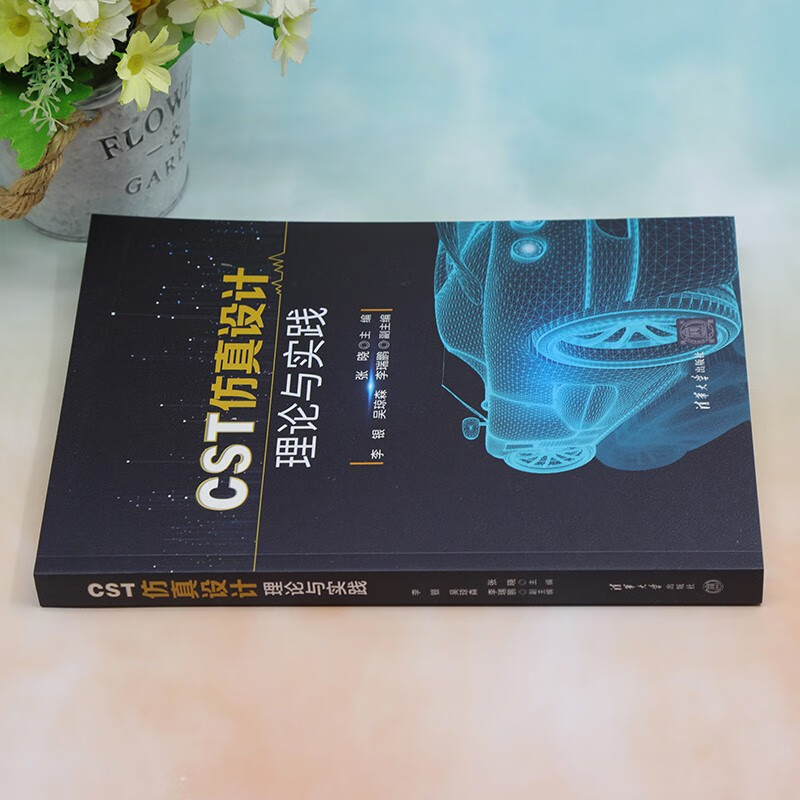 CST simulation design theory and practice