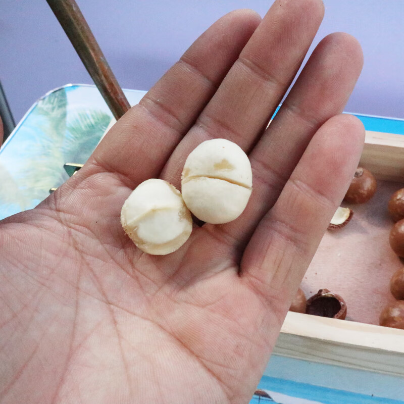 Nut opener artifact walnut macadamia nut fresh raw macadamia nut clip shell opener fruit opener clip new upgraded version adjustable size (yellow model)